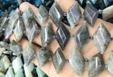 CNG8646 13*20mm - 15*25mm faceted freeform labradorite beads