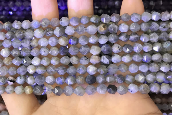 CNG8715 15.5 inches 6mm faceted nuggets labradorite gemstone beads