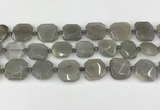 CNG8809 15.5 inches 16mm - 20mm faceted freeform moonstone beads