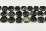 CNG8824 15.5 inches 16mm - 20mm faceted freeform labradorite beads