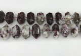 CNG8904 10*25mm - 14*30mm faceted nuggets tourmaline beads