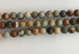 CNI372 15.5 inches 10mm round American picture jasper beads