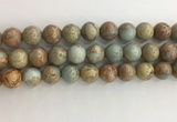 CNS704 15.5 inches 12mm round serpentine jasper beads wholesale