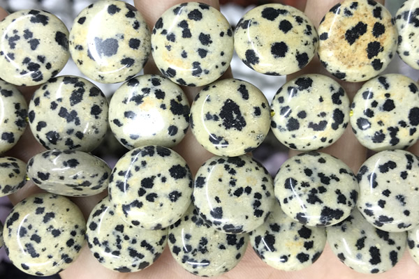 COIN117 15 inches 16mm coin dalmatian jasper beads