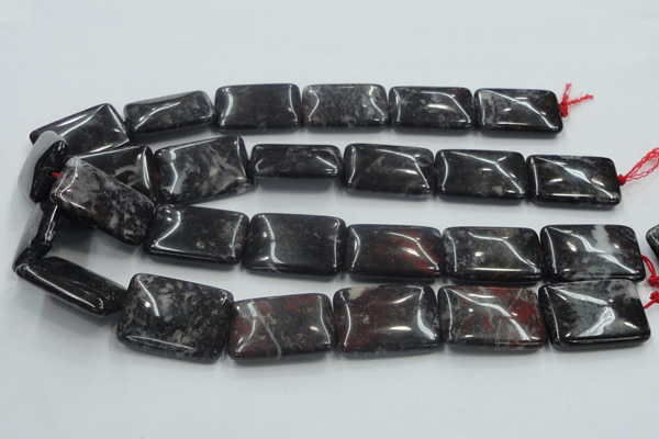 COJ06 15.5 inches 22*30mm rectangle blood jasper gemstone beads