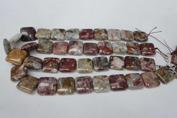 COJ216 15.5 inches 20*20mm square blood stone beads wholesale