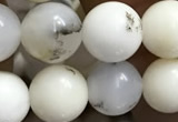 COP1585 15.5 inches 8mm round white opal gemstone beads