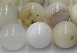 COP1727 15.5 inches 10mm round white opal beads wholesale