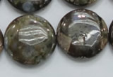 COP252 15.5 inches 25mm flat round natural grey opal gemstone beads