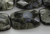 COP491 15.5 inches 20*30mm faceted rectangle natural grey opal beads