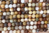 CORA01 15 inches 6mm round China fossil coral beads wholesale