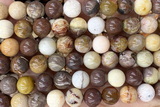 CORA03 15 inches 10mm round fossil coral beads wholesale