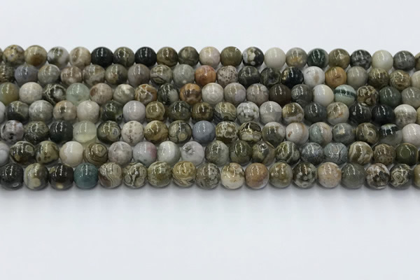 COS306 15.5 inches 6mm round ocean jasper beads wholesale