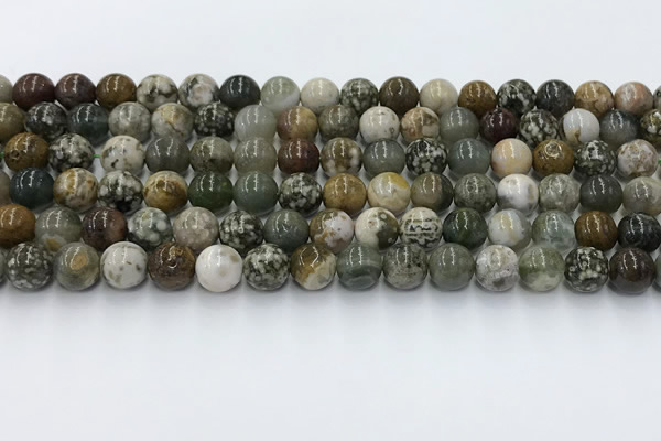 COS307 15.5 inches 8mm round ocean jasper beads wholesale