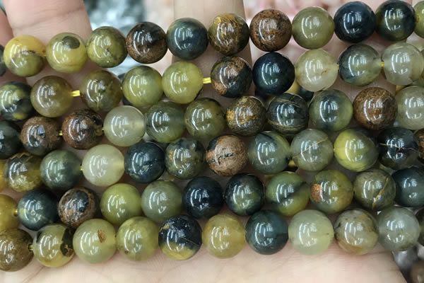 CPB1064 15.5 inches 12mm round natural pietersite beads wholesale