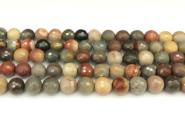 CPJ697 15 inches 10mm faceted round American picture jasper beads