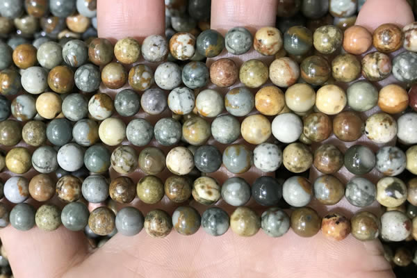 CPJ707 15.5 inches 6mm round rocky butte picture jasper beads