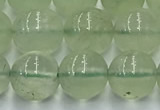 CPR372 15.5 inches 10mm round prehnite gemstone beads