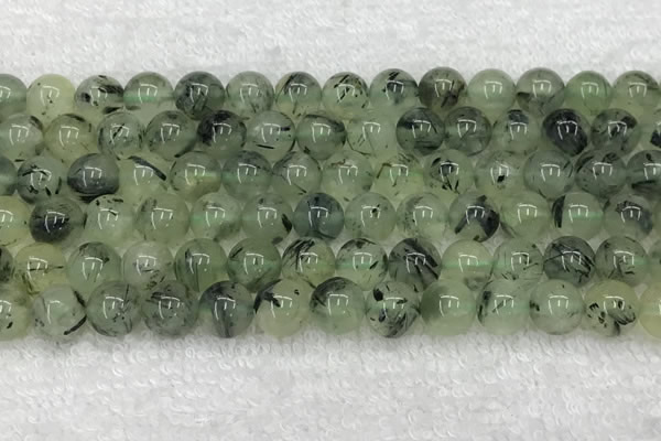 CPR392 15.5 inches 10mm round prehnite beads wholesale