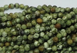 CPS54 15.5 inches 4mm faceted round green peacock stone beads