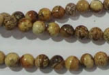 CPT451 15.5 inches 6mm round picture jasper beads wholesale