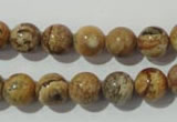 CPT453 15.5 inches 10mm round picture jasper beads wholesale