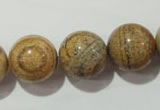 CPT458 15.5 inches 20mm round picture jasper beads wholesale