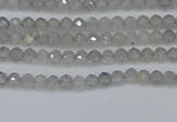 CRB1936 15.5 inches 2*3mm faceted rondelle labradorite beads