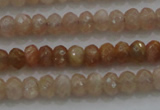 CRB224 15.5 inches 2.5*4mm faceted rondelle moonstone beads