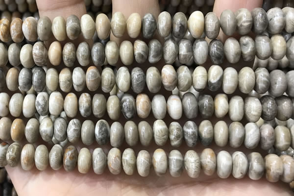 CRB5336 15.5 inches 5*8mm rondelle fossil coral beads wholesale