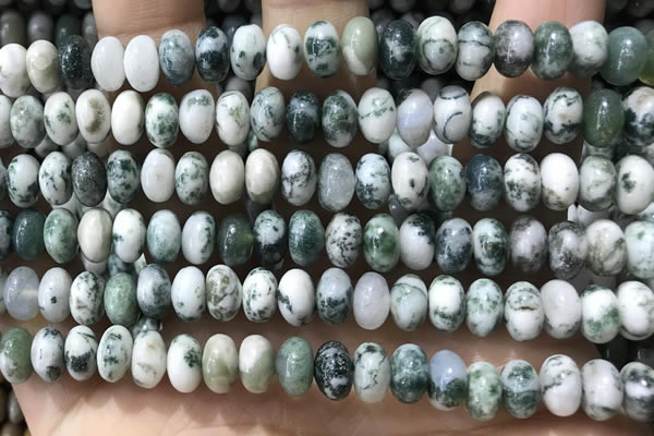 CRB5338 15.5 inches 5*8mm rondelle tree agate beads wholesale