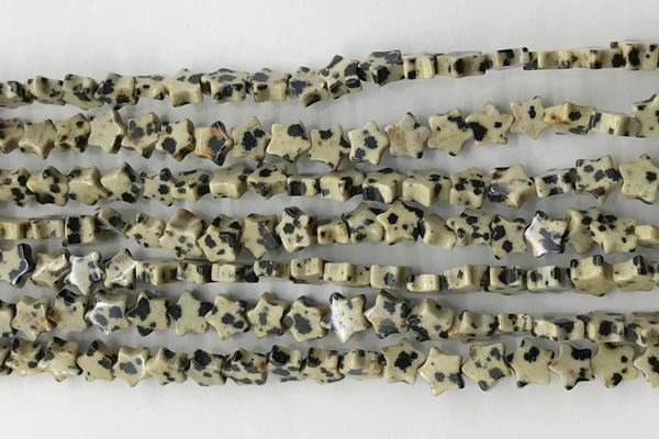 CRG31 15.5 inches 6mm flat star sesame jasper beads wholesale