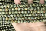 CRH570 15.5 inches 4mm round rhyolite gemstone beads wholesale