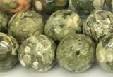 CRH581 15 inches 8mm faceted round rhyolite beads wholesale