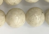 CRJ624 15.5 inches 12mm round white fossil jasper beads wholesale