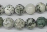 CRO300 15.5 inches 12mm round tree agate beads wholesale