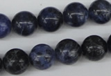 CRO344 15.5 inches 12mm round sodalite gemstone beads wholesale