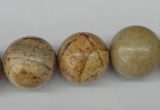 CRO485 15.5 inches 18mm round picture jasper beads wholesale