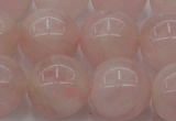 CRQ674 15.5 inches 14mm round rose quartz beads wholesale