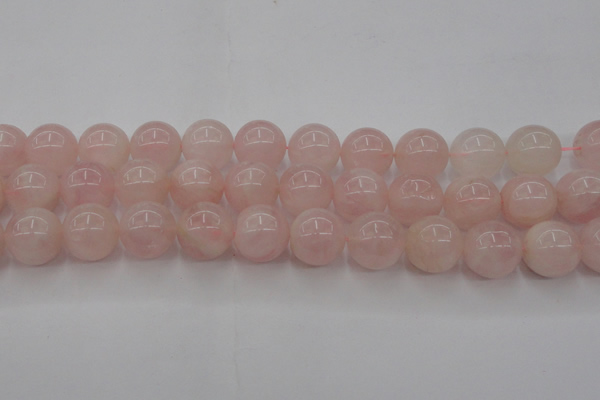 CRQ674 15.5 inches 14mm round rose quartz beads wholesale