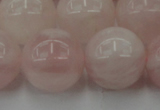 CRQ675 15.5 inches 16mm round rose quartz beads wholesale