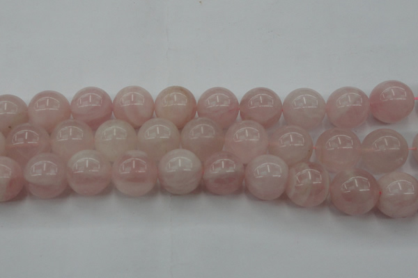 CRQ676 15.5 inches 16mm round rose quartz beads wholesale