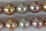 CSB103 15.5 inches 16mm round mixed color shell pearl beads