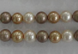 CSB1040 15.5 inches 8mm round mixed color shell pearl beads