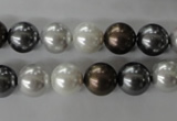 CSB1054 15.5 inches 10mm round mixed color shell pearl beads