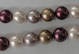 CSB1059 15.5 inches 10mm round mixed color shell pearl beads