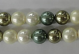 CSB1070 15.5 inches 10mm round mixed color shell pearl beads