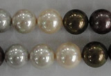 CSB1083 15.5 inches 12mm round mixed color shell pearl beads