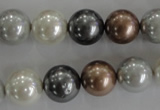 CSB1084 15.5 inches 12mm round mixed color shell pearl beads