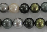 CSB1086 15.5 inches 12mm round mixed color shell pearl beads